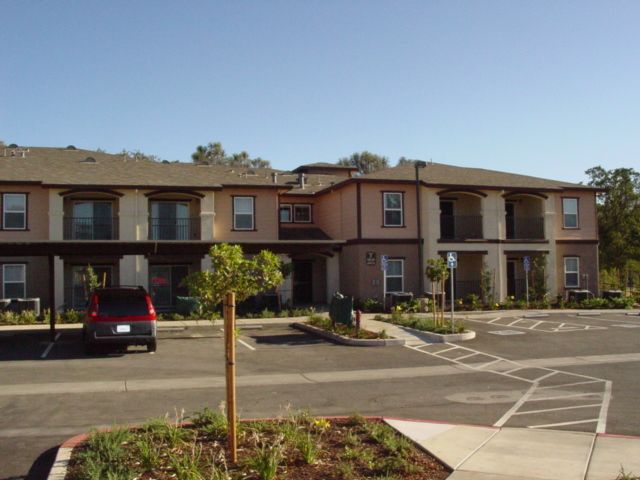 Clearlake - Olympic Village (3)