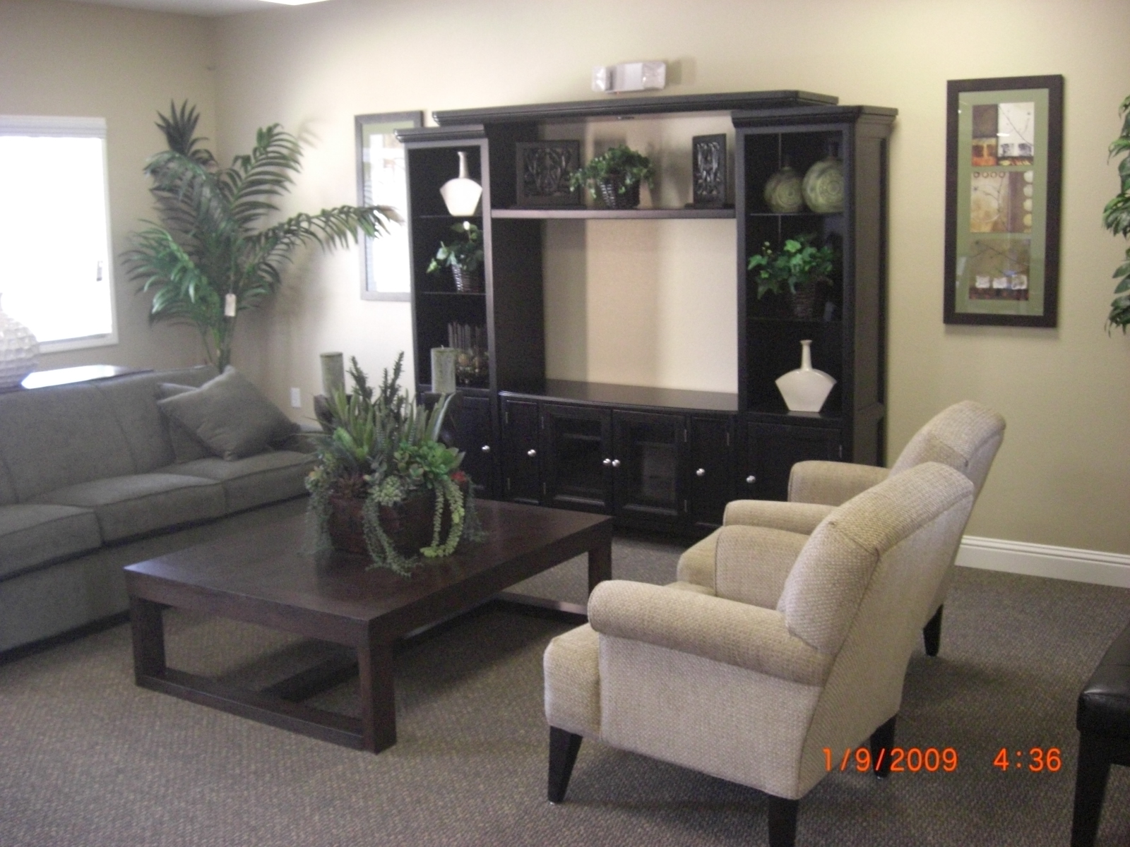Larkspur-village (3)