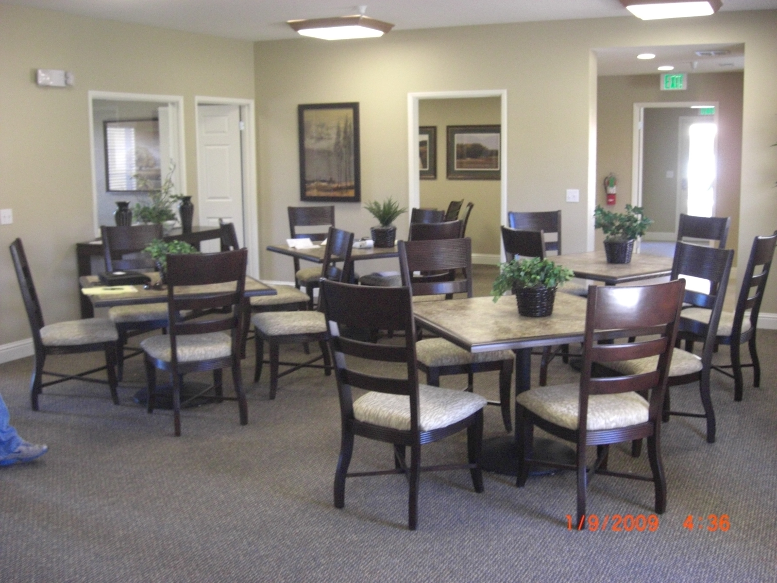 Larkspur-village (4)