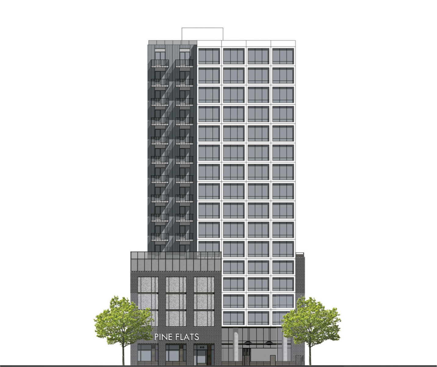 810-Pine-2